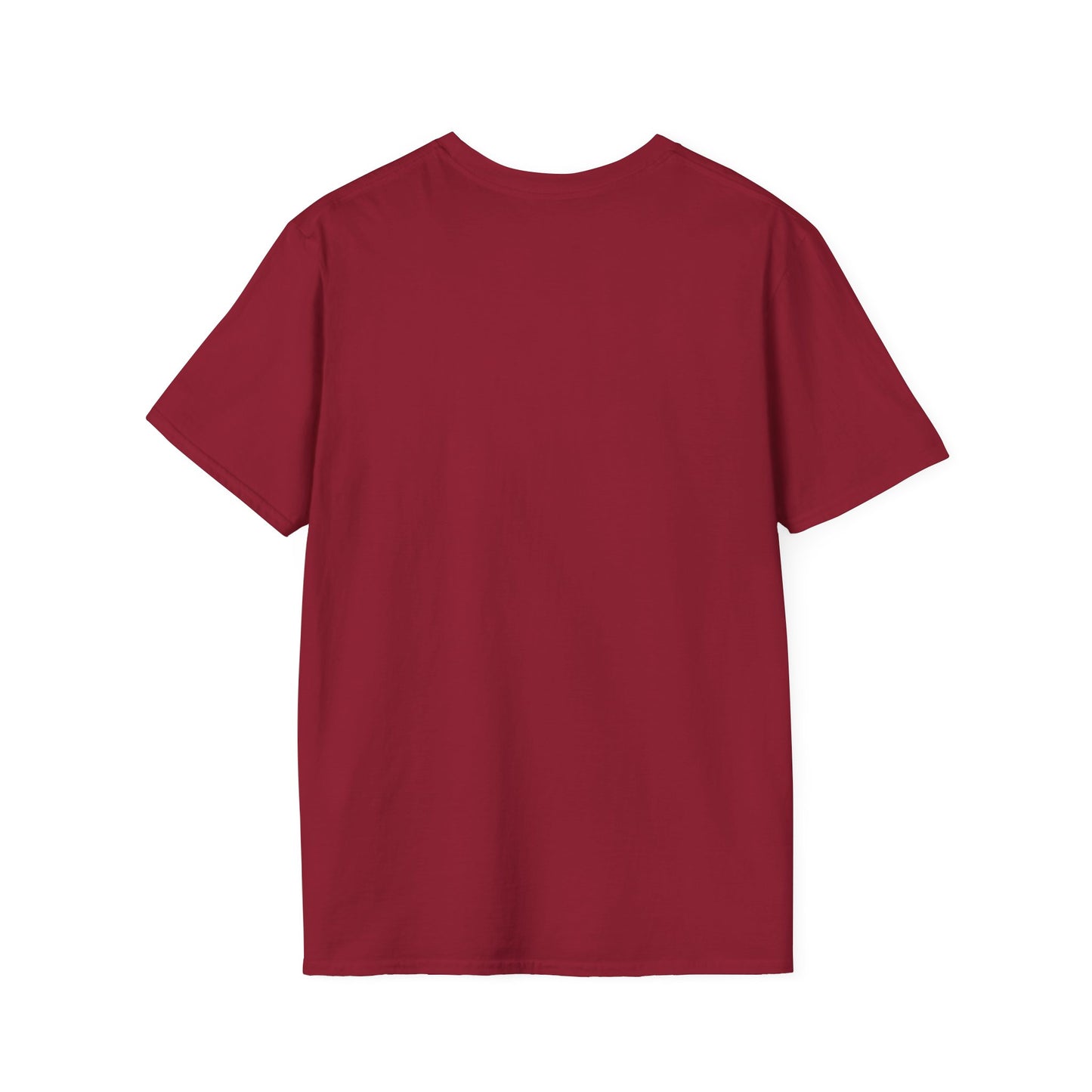 BR Guitars T-Shirt