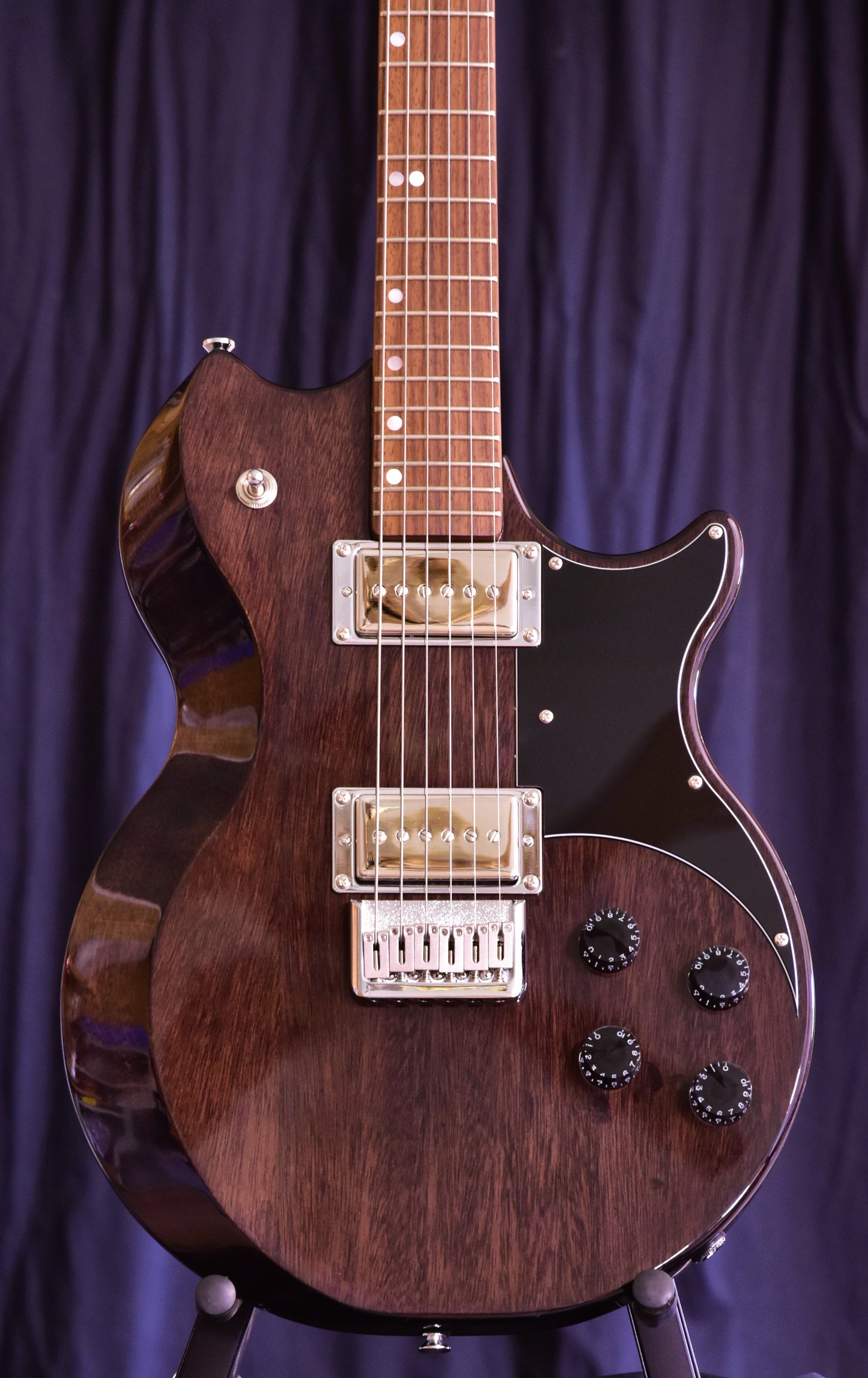 BR Guitars - Fusion Professional