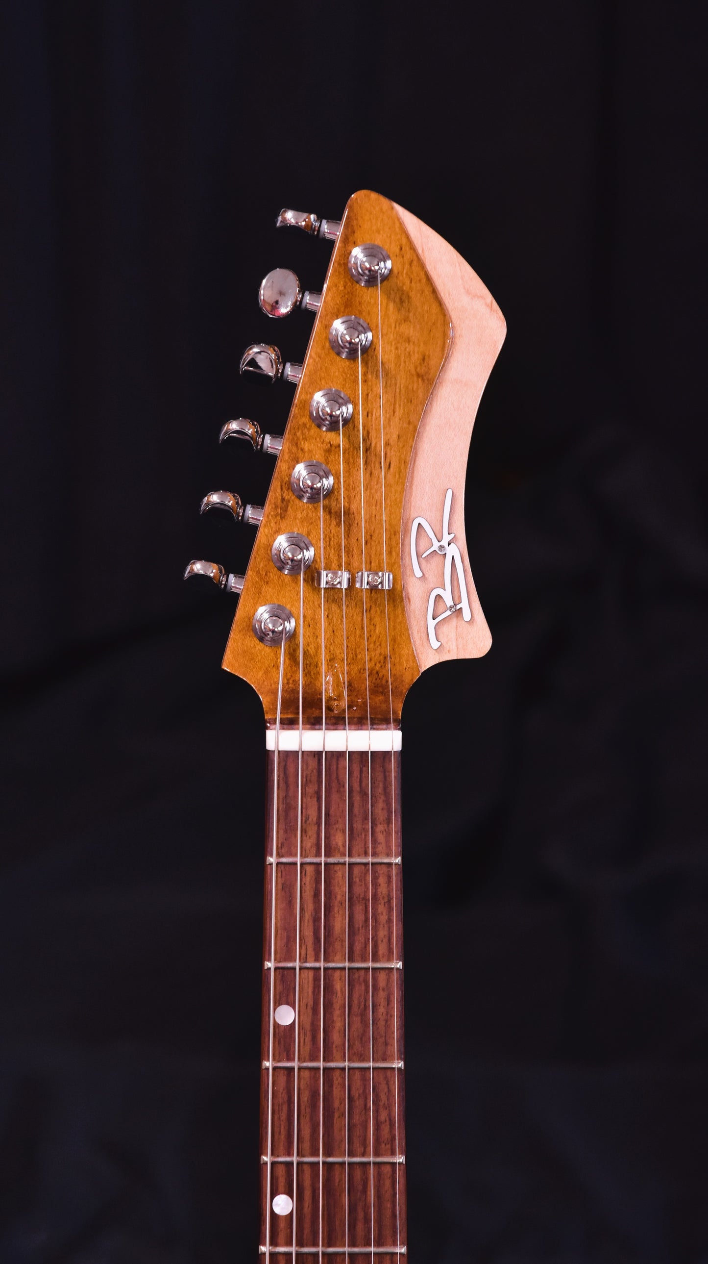BR Guitars - The ICON PRO