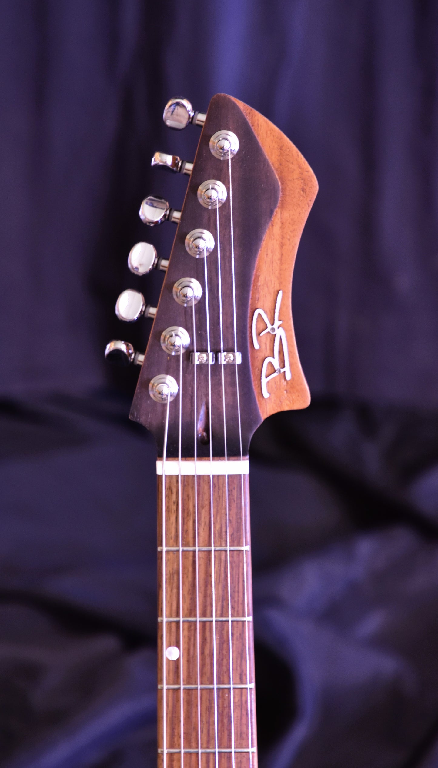 BR Guitars - Fusion Professional