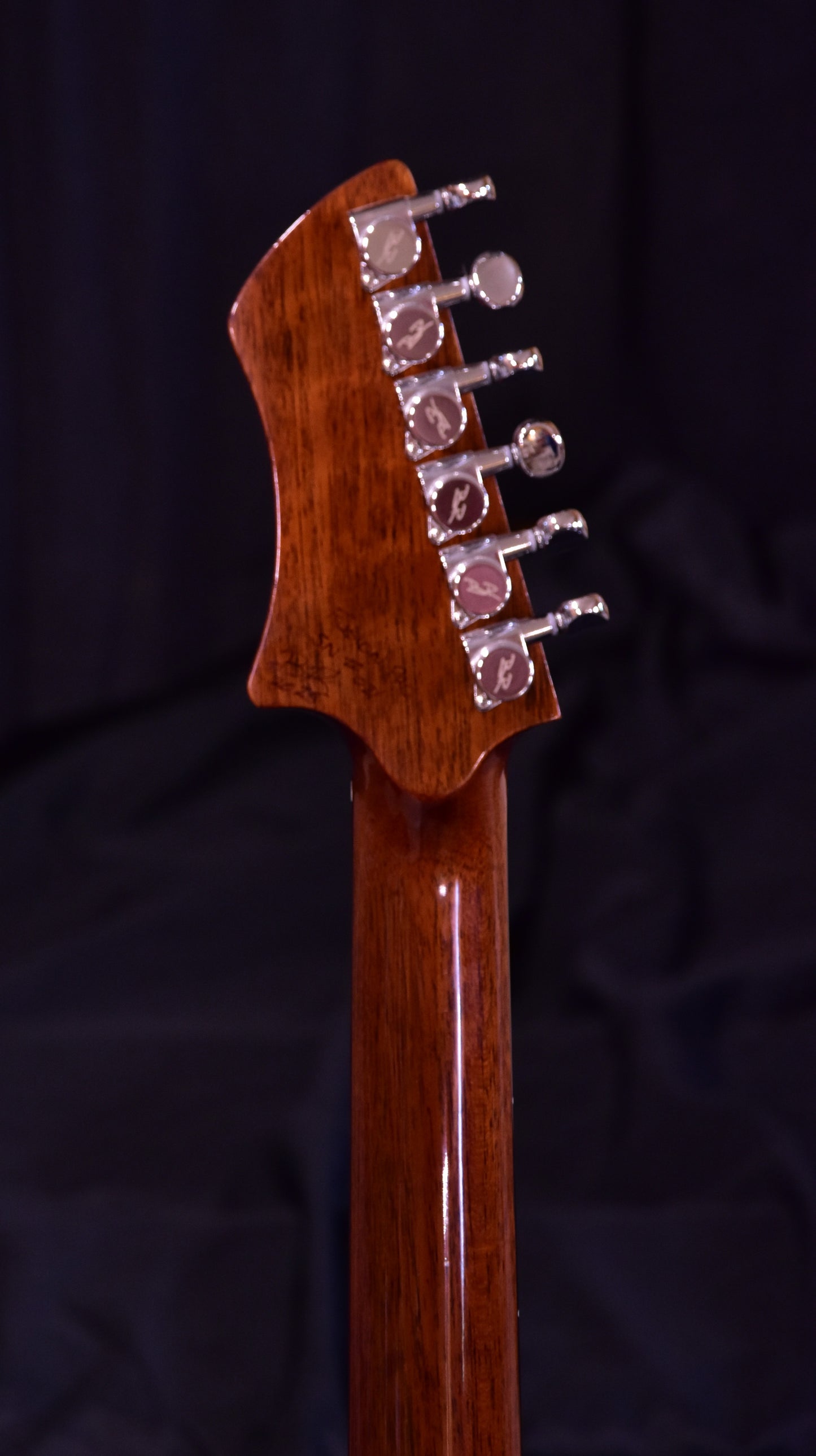 BR Guitars - Fusion Pro