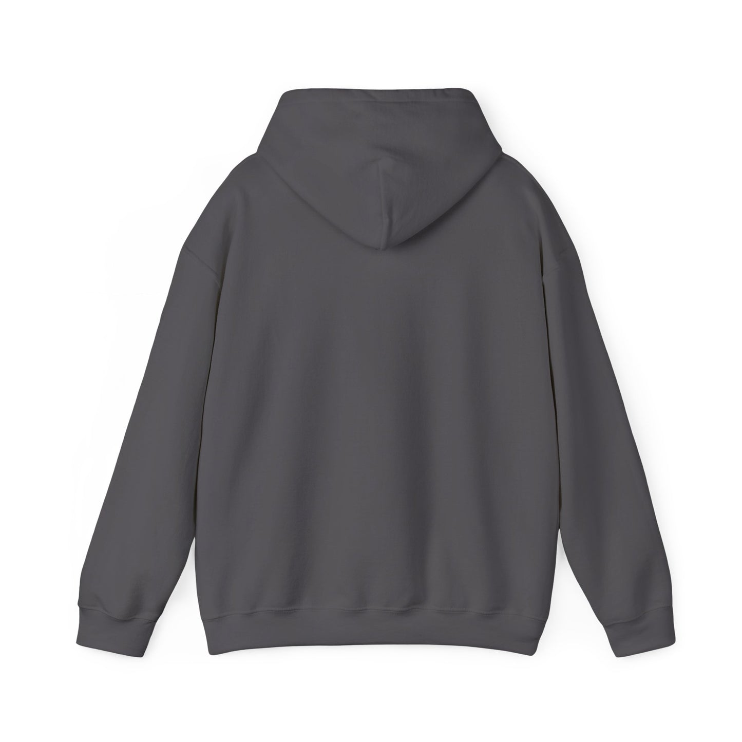 Music Lover Hoodie - BR Guitars