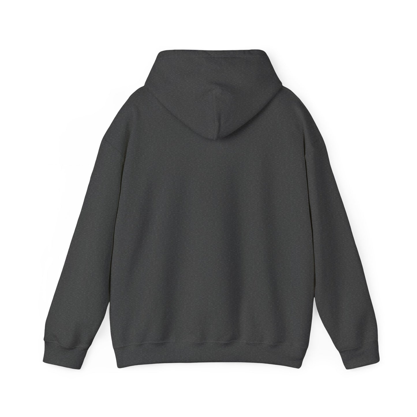 Music Lover Hoodie - BR Guitars