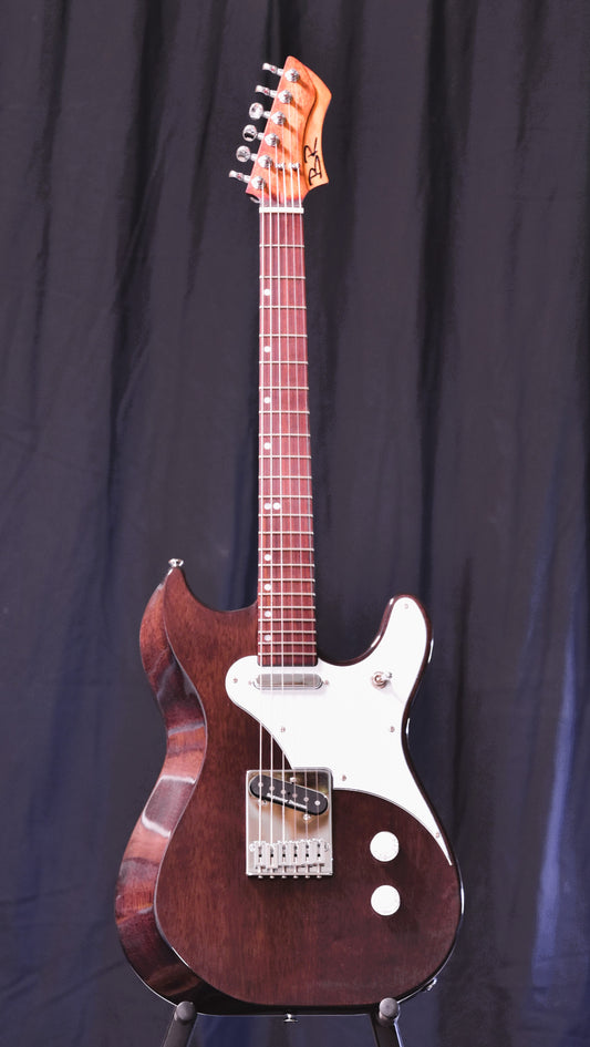 BR Guitar - ICON Professional