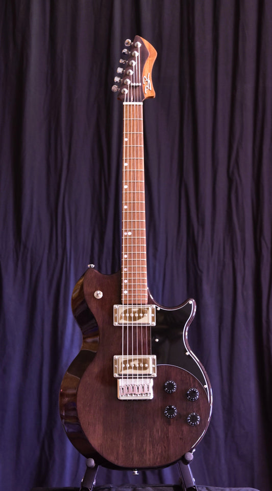 BR Guitars - Fusion Professional