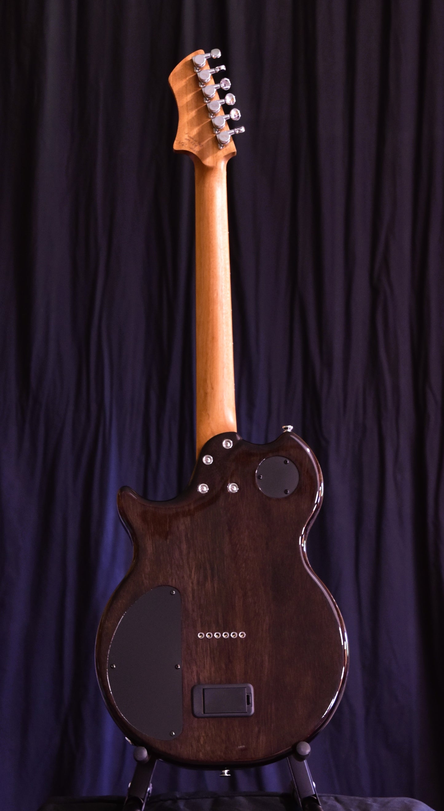 BR Guitars - Fusion Professional